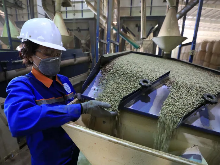 Xuất khẩu cà phê có thể đạt mức kỷ lục mới - Ảnh 1. Xuất khẩu cà phê có thể đạt mức kỷ lục mới - Ảnh 1.