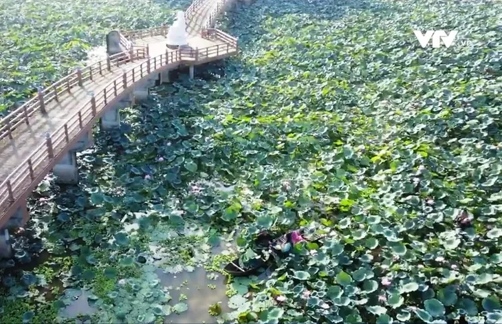 Hương sen ở ngôi chùa cổ 2.000 năm tuổi - Ảnh 1. Hương sen ở ngôi chùa cổ 2.000 năm tuổi - Ảnh 1.