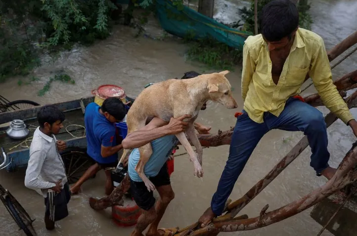 New Delhi sơ tán hàng trăm người vì nguy cơ lũ lụt sau mưa lớn kỷ lục - Ảnh 4. New Delhi sơ tán hàng trăm người vì nguy cơ lũ lụt sau mưa lớn kỷ lục - Ảnh 4.