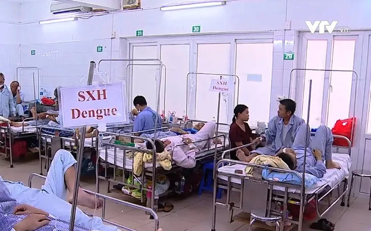 Số ca sốt xuất huyết ở Hà Nội, TP Hồ Chí Minh tăng, nguy cơ quá tải - Ảnh 1. Số ca sốt xuất huyết ở Hà Nội, TP Hồ Chí Minh tăng, nguy cơ quá tải - Ảnh 1.