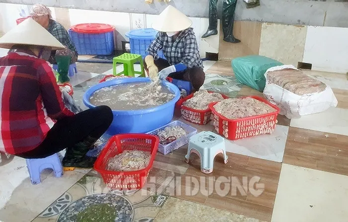 Hải Dương: Phát hiện hộ kinh doanh tàng trữ hơn 2,3 tấn nội tạng lợn bốc mùi hôi thối - Ảnh 1. Hải Dương: Phát hiện hộ kinh doanh tàng trữ hơn 2,3 tấn nội tạng lợn bốc mùi hôi thối - Ảnh 1.