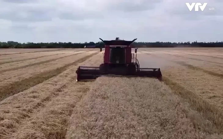Nga nhất trí gia hạn thỏa thuận Sáng kiến ngũ cốc Biển Đen - Ảnh 1. Nga nhất trí gia hạn thỏa thuận Sáng kiến ngũ cốc Biển Đen - Ảnh 1.