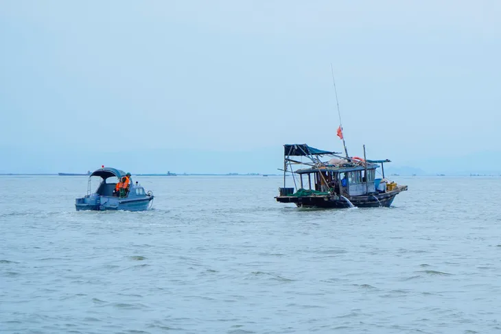 undefined - Ảnh 1. undefined - Ảnh 1.