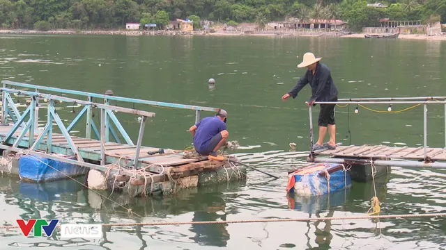 Đảo Cát Hải: Phòng chống bão số 1 với tinh thần cao nhất - Ảnh 2. Đảo Cát Hải: Phòng chống bão số 1 với tinh thần cao nhất - Ảnh 2.