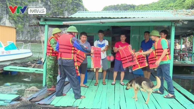Đảo Cát Hải: Phòng chống bão số 1 với tinh thần cao nhất - Ảnh 6. Đảo Cát Hải: Phòng chống bão số 1 với tinh thần cao nhất - Ảnh 6.