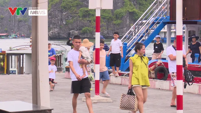 Đảo Cát Hải: Phòng chống bão số 1 với tinh thần cao nhất - Ảnh 3. Đảo Cát Hải: Phòng chống bão số 1 với tinh thần cao nhất - Ảnh 3.
