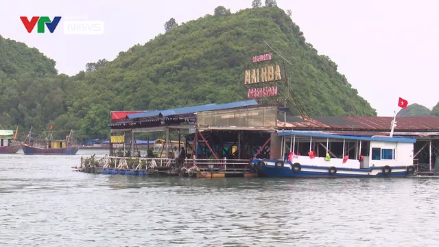 Đảo Cát Hải: Phòng chống bão số 1 với tinh thần cao nhất - Ảnh 1. Đảo Cát Hải: Phòng chống bão số 1 với tinh thần cao nhất - Ảnh 1.