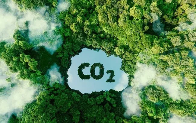 Thương mại tín chỉ carbon rừng - Ảnh 2. Thương mại tín chỉ carbon rừng - Ảnh 2.