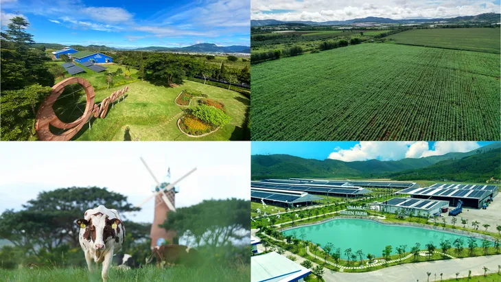 Để có các mô hình trang trại sinh thái, trung hòa carbon, Vinamilk đã chuẩn bị như thế nào? - Ảnh 3. Để có các mô hình trang trại sinh thái, trung hòa carbon, Vinamilk đã chuẩn bị như thế nào? - Ảnh 3.