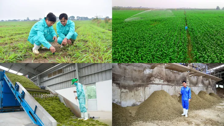 Để có các mô hình trang trại sinh thái, trung hòa carbon, Vinamilk đã chuẩn bị như thế nào? - Ảnh 2. Để có các mô hình trang trại sinh thái, trung hòa carbon, Vinamilk đã chuẩn bị như thế nào? - Ảnh 2.