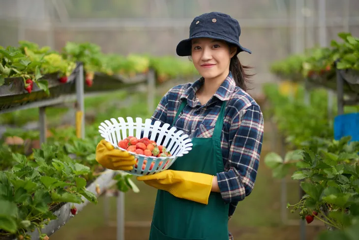 Vay vốn lãi suất hấp dẫn chỉ từ 7%/năm tại BIDV dành cho cá nhân - Ảnh 3. Vay vốn lãi suất hấp dẫn chỉ từ 7%/năm tại BIDV dành cho cá nhân - Ảnh 3.