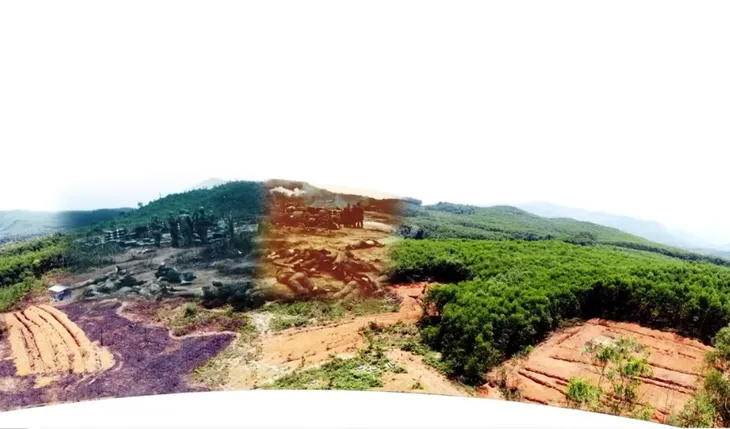 Hành trình tìm mộ liệt sĩ Việt Nam của các cựu binh Mỹ - Ảnh 5. Hành trình tìm mộ liệt sĩ Việt Nam của các cựu binh Mỹ - Ảnh 5.
