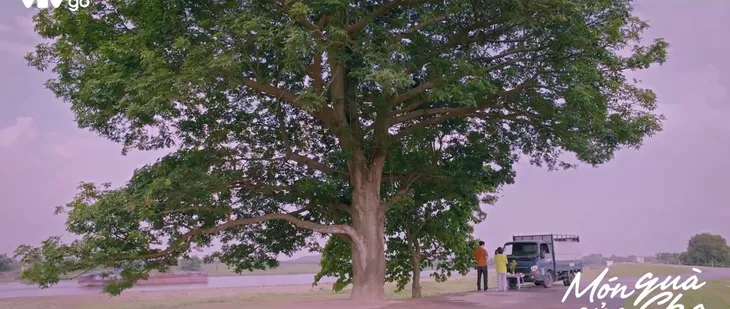Món quà của cha - Tập 6: Hiếu cùng Ninh làm lễ giải hạn cho xe - Ảnh 2. Món quà của cha - Tập 6: Hiếu cùng Ninh làm lễ giải hạn cho xe - Ảnh 2.