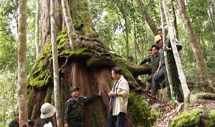 Bảo vệ di sản nghìn năm tuổi ở vùng cao xứ Quảng - Ảnh 3. Bảo vệ di sản nghìn năm tuổi ở vùng cao xứ Quảng - Ảnh 3.