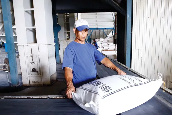 Ấn Độ cấm xuất khẩu gạo: Thận trọng và không nên lạc quan quá mức! - Ảnh 2. Ấn Độ cấm xuất khẩu gạo: Thận trọng và không nên lạc quan quá mức! - Ảnh 2.