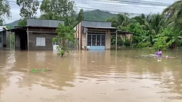 An Giang: 413 ha lúa, hoa màu của người dân bị ngập úng do mưa lớn - Ảnh 2. An Giang: 413 ha lúa, hoa màu của người dân bị ngập úng do mưa lớn - Ảnh 2.