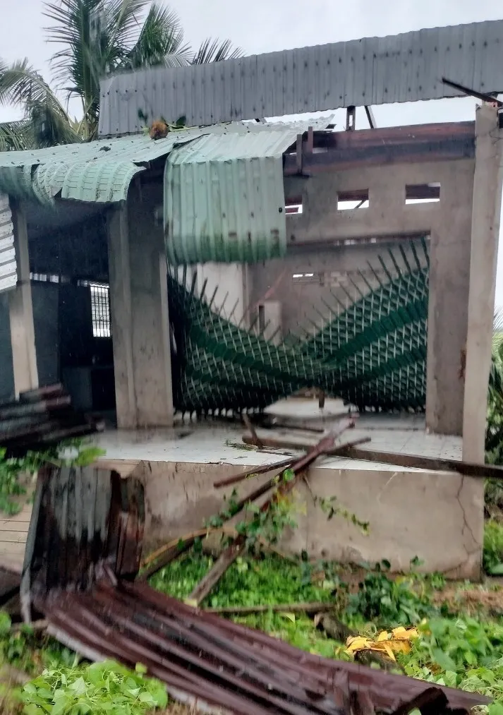 An Giang: 413 ha lúa, hoa màu của người dân bị ngập úng do mưa lớn - Ảnh 3. An Giang: 413 ha lúa, hoa màu của người dân bị ngập úng do mưa lớn - Ảnh 3.