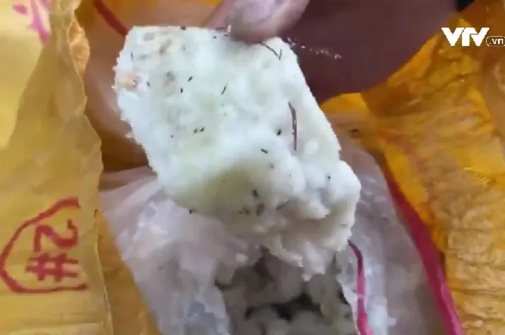 Khai thác nhựa thông trái phép - Ảnh 2.