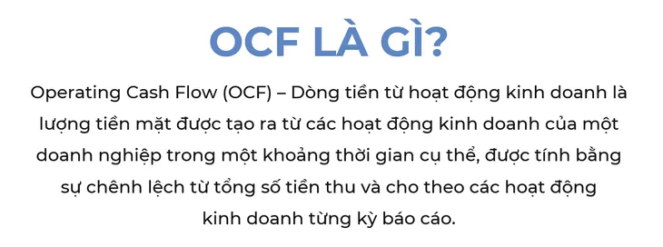 Giải đáp chất lượng lợi nhuận qua phân tích các chỉ số tài chính của Vinamilk - Ảnh 1.