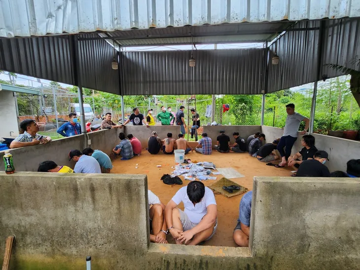 Triệt xóa trường gà, thu giữ một khẩu súng - Ảnh 1. Triệt xóa trường gà, thu giữ một khẩu súng - Ảnh 1.