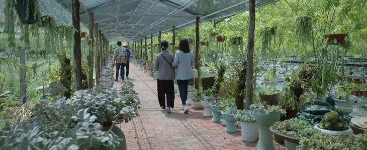 Nơi giấc mơ tìm về - Tập 30: Bà Lan sẽ hủy hôn của Gia An với Mai Anh vì quá khứ oan gia? - Ảnh 5. Nơi giấc mơ tìm về - Tập 30: Bà Lan sẽ hủy hôn của Gia An với Mai Anh vì quá khứ oan gia? - Ảnh 5.