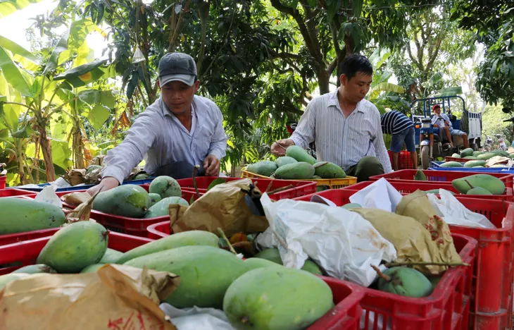 Xuất khẩu rau quả có thể đạt trên 5 tỷ USD - Ảnh 1. Xuất khẩu rau quả có thể đạt trên 5 tỷ USD - Ảnh 1.
