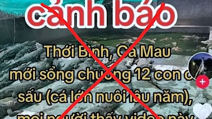 Cà Mau: Thông tin 12 con cá sấu sổng chuồng là sai sự thật - Ảnh 1. Cà Mau: Thông tin 12 con cá sấu sổng chuồng là sai sự thật - Ảnh 1.