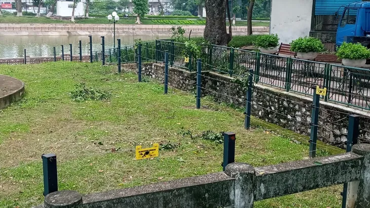 Cận cảnh hai chú voi bị xích chân tại vườn thú Hà Nội - Ảnh 5. Cận cảnh hai chú voi bị xích chân tại vườn thú Hà Nội - Ảnh 5.