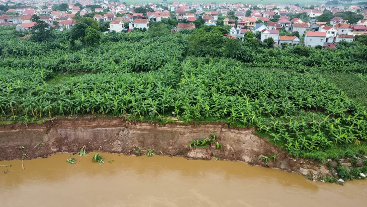 Sạt lở nghiêm trọng bờ sông Thao - Ảnh 1. Sạt lở nghiêm trọng bờ sông Thao - Ảnh 1.