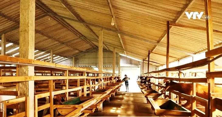 Công tác giảm nghèo ngày càng đi vào thực chất - Ảnh 3.