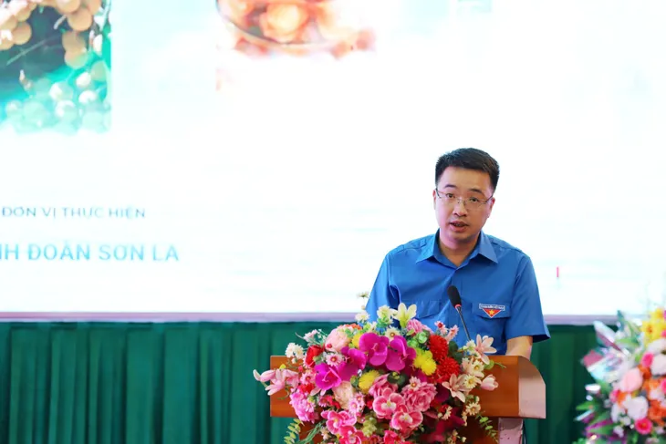 Sơn La khai thác tiềm năng kinh tế số trong xúc tiến quảng bá sản phẩm OCOP - Ảnh 3. Sơn La khai thác tiềm năng kinh tế số trong xúc tiến quảng bá sản phẩm OCOP - Ảnh 3.