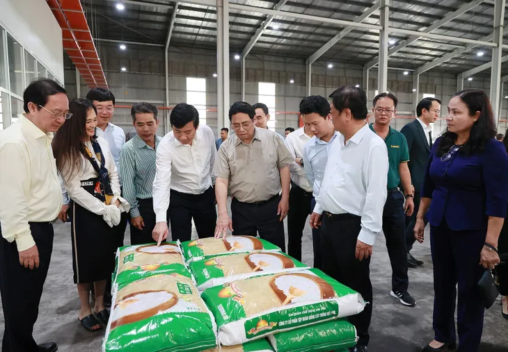 Thủ tướng: Phải có tư duy đổi mới về nông nghiệp - Ảnh 5.