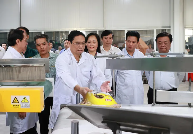 Thủ tướng: Phải có tư duy đổi mới về nông nghiệp - Ảnh 3.