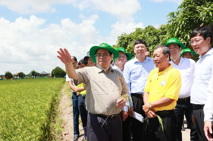 Thủ tướng: Phải có tư duy đổi mới về nông nghiệp - Ảnh 1.