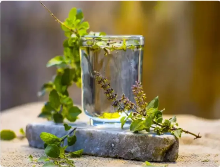 Đây là những loại đồ uống giúp chống lại sốt xuất huyết - Ảnh 5. Đây là những loại đồ uống giúp chống lại sốt xuất huyết - Ảnh 5.