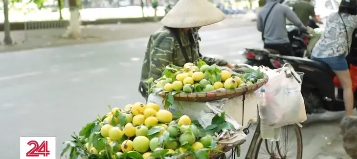 Quả thị thơm hút khách Hà Thành - Ảnh 1. Quả thị thơm hút khách Hà Thành - Ảnh 1.