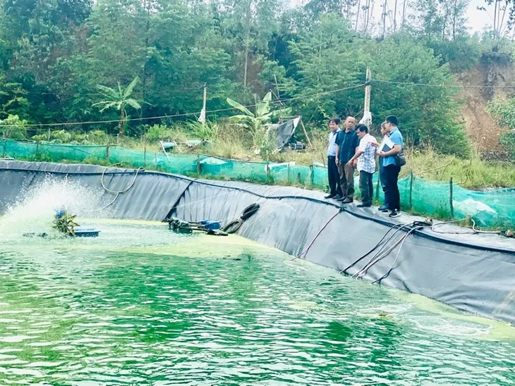 Nâng cao giá trị cho cá chình bông Phú Yên nhờ xây dựng chỉ dẫn địa lý - Ảnh 1. Nâng cao giá trị cho cá chình bông Phú Yên nhờ xây dựng chỉ dẫn địa lý - Ảnh 1.