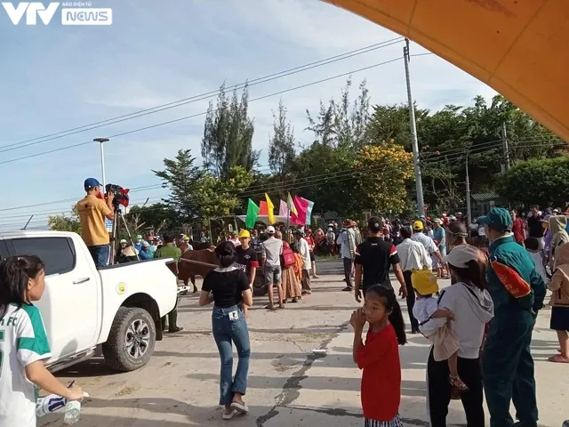 Khánh Hòa: Sôi động và vui nhộn với cuộc đua xe bò - Ảnh 3. Khánh Hòa: Sôi động và vui nhộn với cuộc đua xe bò - Ảnh 3.