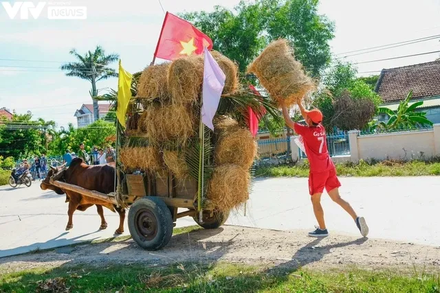 Khánh Hòa: Sôi động và vui nhộn với cuộc đua xe bò - Ảnh 11. Khánh Hòa: Sôi động và vui nhộn với cuộc đua xe bò - Ảnh 11.