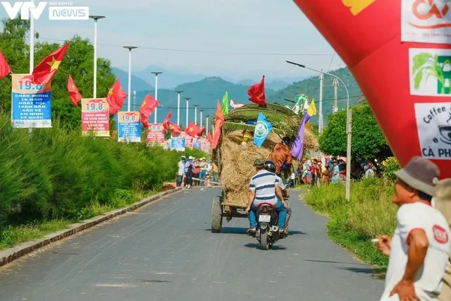 Khánh Hòa: Sôi động và vui nhộn với cuộc đua xe bò - Ảnh 7. Khánh Hòa: Sôi động và vui nhộn với cuộc đua xe bò - Ảnh 7.