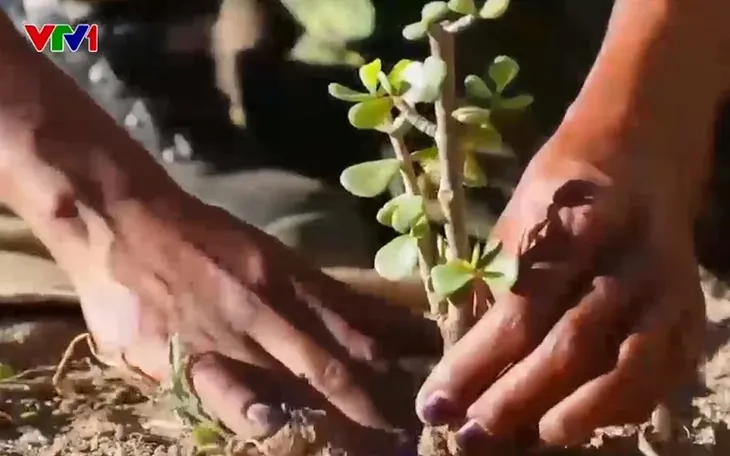 Ngày Trái đất vượt ngưỡng phục hồi: Chúng ta bắt đầu sử dụng tài nguyên vay mượn của tương lai - Ảnh 2. Ngày Trái đất vượt ngưỡng phục hồi: Chúng ta bắt đầu sử dụng tài nguyên vay mượn của tương lai - Ảnh 2.
