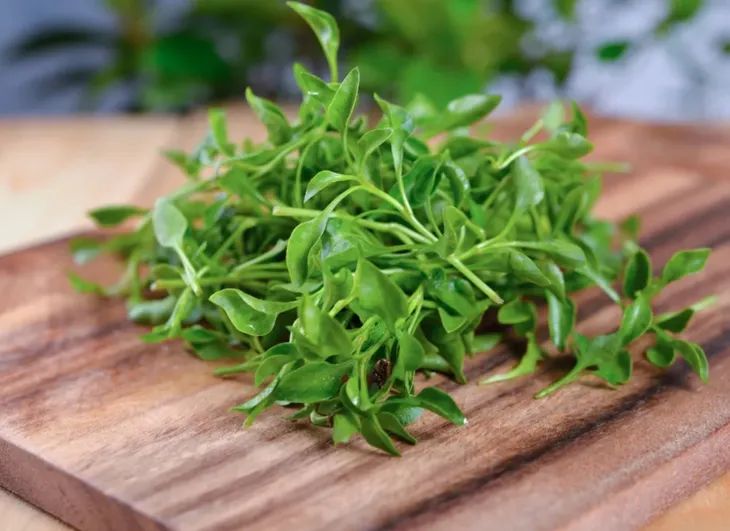Bạn đã biết đến những lợi ích thần kỳ của loại rau tốt nhất thế giới? - Ảnh 2. Bạn đã biết đến những lợi ích thần kỳ của loại rau tốt nhất thế giới? - Ảnh 2.