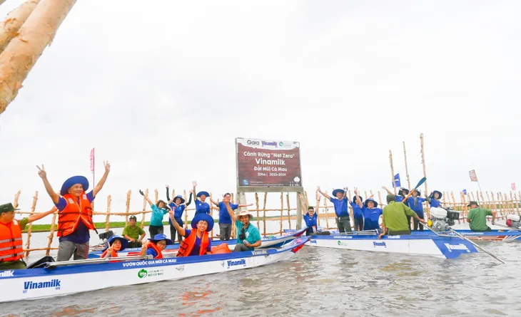 Đẩy mạnh dự án Cánh rừng Net Zero, Vinamilk khoanh nuôi tái sinh 25ha rừng ngập mặn Cà Mau - Ảnh 2. Đẩy mạnh dự án Cánh rừng Net Zero, Vinamilk khoanh nuôi tái sinh 25ha rừng ngập mặn Cà Mau - Ảnh 2.