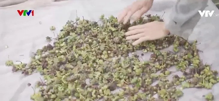 Việt Nam là nước xuất khẩu gia vị hàng đầu thế giới - Ảnh 2. Việt Nam là nước xuất khẩu gia vị hàng đầu thế giới - Ảnh 2.
