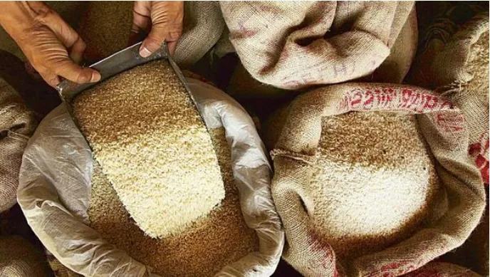 Ấn Độ áp đặt thuế 20% với gạo đồ xuất khẩu - Ảnh 1. Ấn Độ áp đặt thuế 20% với gạo đồ xuất khẩu - Ảnh 1.