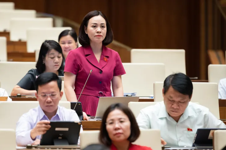 ĐBQH: Kinh doanh bất động sản đã trở thành một nghề dễ làm, dễ phất - Ảnh 2. ĐBQH: Kinh doanh bất động sản đã trở thành một nghề dễ làm, dễ phất - Ảnh 2.