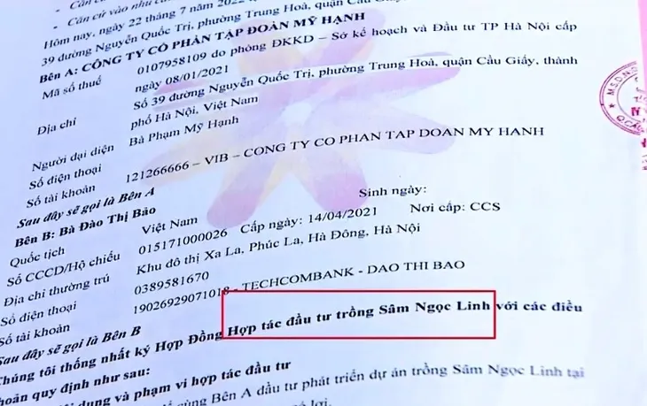 Chiêu thức lừa đảo góp vốn của Công ty MHG Sâm Ngọc Linh - Ảnh 2. Chiêu thức lừa đảo góp vốn của Công ty MHG Sâm Ngọc Linh - Ảnh 2.