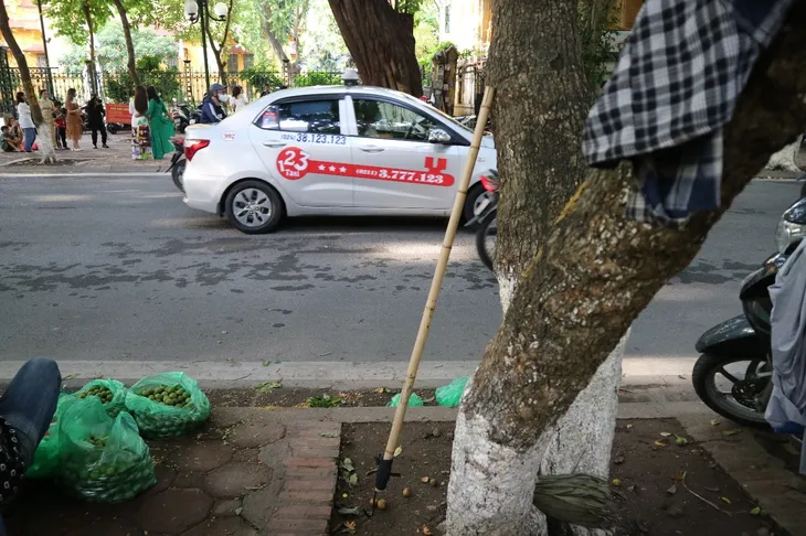 Đặc sản Hà Nội ngày cuối mùa, người dân tranh nhau mua - Ảnh 3. Đặc sản Hà Nội ngày cuối mùa, người dân tranh nhau mua - Ảnh 3.