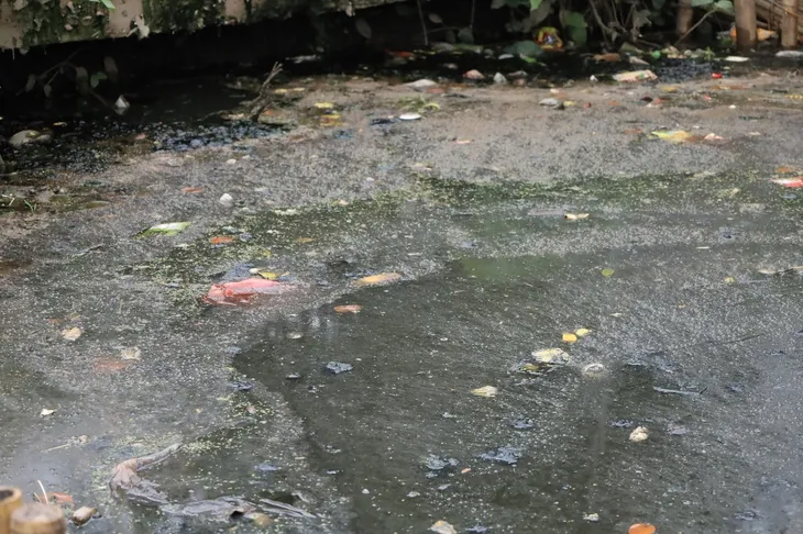 Hà Nội: Thôn có hàng trăm ca sốt xuất huyết tràn ngập rác thải - Ảnh 6. Hà Nội: Thôn có hàng trăm ca sốt xuất huyết tràn ngập rác thải - Ảnh 6.