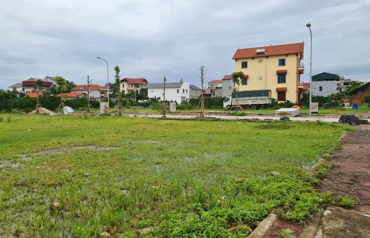 Ảm đạm đấu giá đất - Ảnh 1. Ảm đạm đấu giá đất - Ảnh 1.